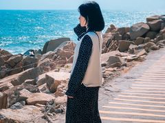 -广东惠东海龟国家级自然保护区