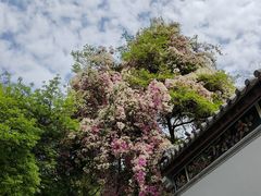 -深圳国际园林花卉博览园