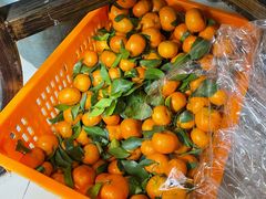 -重庆何乌鱼(南湖逸家店)