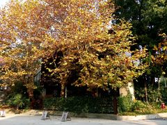 -瓷语堂(上海五维空间创意园店)