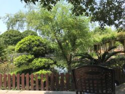 -长沙小顽国景区