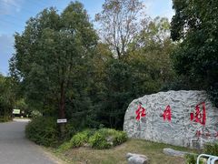 -上海海湾国家森林公园