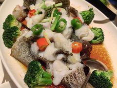 -南棠馆粤菜坊(群光店)