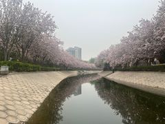 -大望京公园