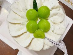 -CarolCake卡萝家(锦华万达店)