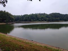 -象山森林公园