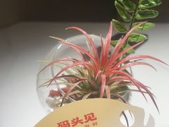 -码头见·潮汕菜(领展中心城店)