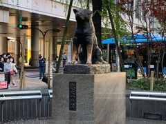 -涩谷区