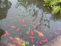 -三苏祠