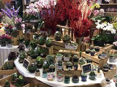 -优托邦(长兴路店)