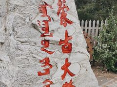 -蒙古大营(朝阳公园店)