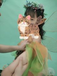 -倾城宝贝儿童摄影(新辰里酒仙桥店)
