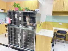 -中农大我爱我爱动物医院·核磁CT·猫病·24小时夜诊中心(石佛营店)