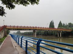 -高东镇樱花园