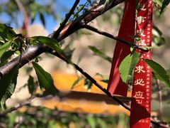 -鸡鸣山旅游风景区