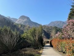 -安徽天堂寨风景区