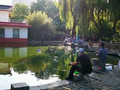-丰台花园