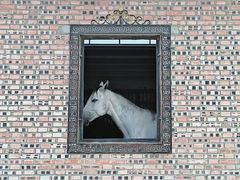 -意大利农场度假村
