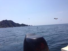 神龙仙岛海上主题公园-神龙仙岛景区