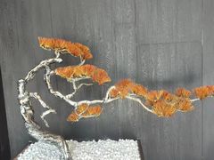 -大唐盲人按摩中心(科大先研院店)