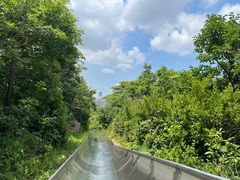-富斯特索道