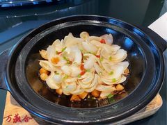 砂锅焗百合-万盛合(渔人码头店)