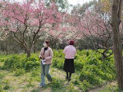 -上海海湾国家森林公园