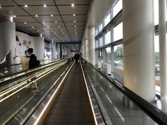 -长沙黄花国际机场-T1航站楼