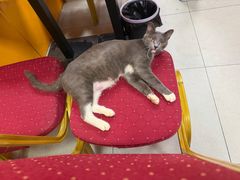 -新疆喀什噶尔餐厅(普利街店)