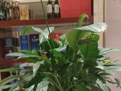 -小八仙·宴(三峡茶庄店)