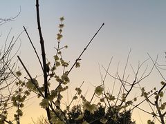 -陆家嘴空中步行连廊