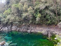 -叠溪松坪沟景区