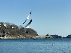 -银沙滩浴场
