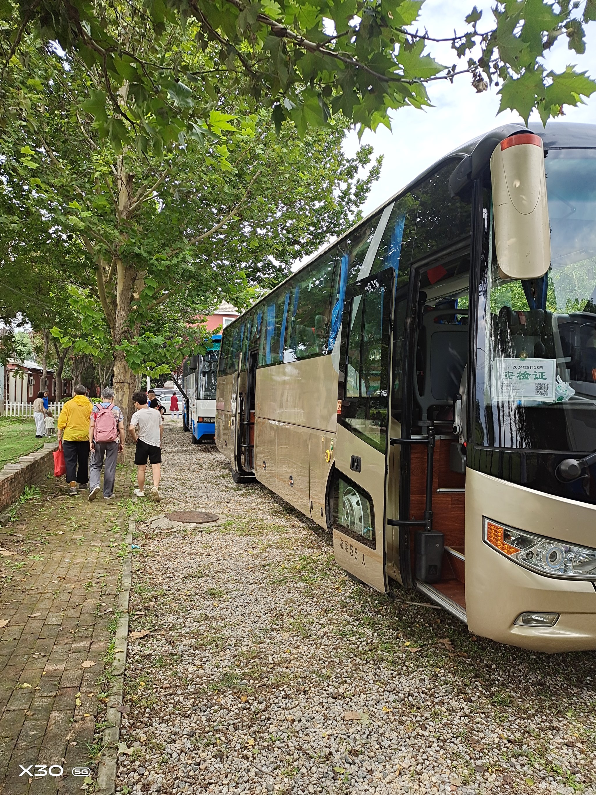 55座旅游大巴座位图图片