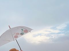 -山王坪喀斯特国家生态公园
