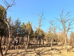 -白水寺森林公园