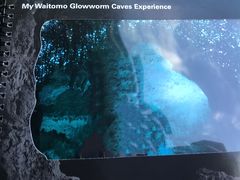 -怀托摩萤火虫洞