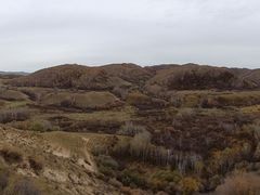 -塞罕坝国家级自然保护区