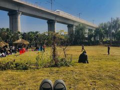 -白鹭湾湿地公园