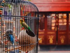 -程府宴(南长街四合院店)