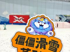 -哈尔滨热雪奇迹