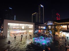 -Apple零售店(成都太古里店)