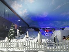 -世界之窗阿尔卑斯冰雪世界