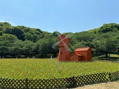 -苏州上方山国家森林公园