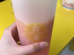 -树夏(建设路店)