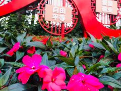 -四海公园(南山区)