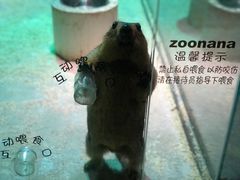 -zoonana室内动物园(东方福来德店)