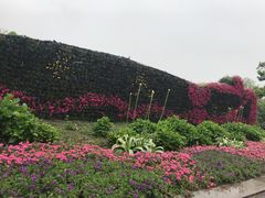 -杭州湾海上花田景区