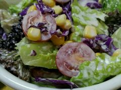 蔬菜沙拉-食锦斋(塔头店)