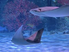 -沈阳海洋探索中心